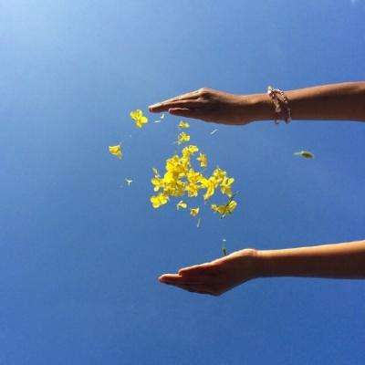 宝博游戏app下载